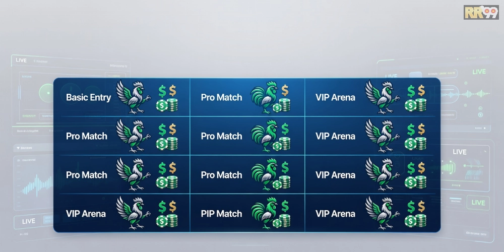 Bảng giá chi tiết các gói xem đá gà trực tiếp casino RR99 năm 2025 với ưu đãi hấp dẫn